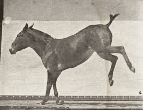 Plate 658 'Ruth' kicking — figure reference